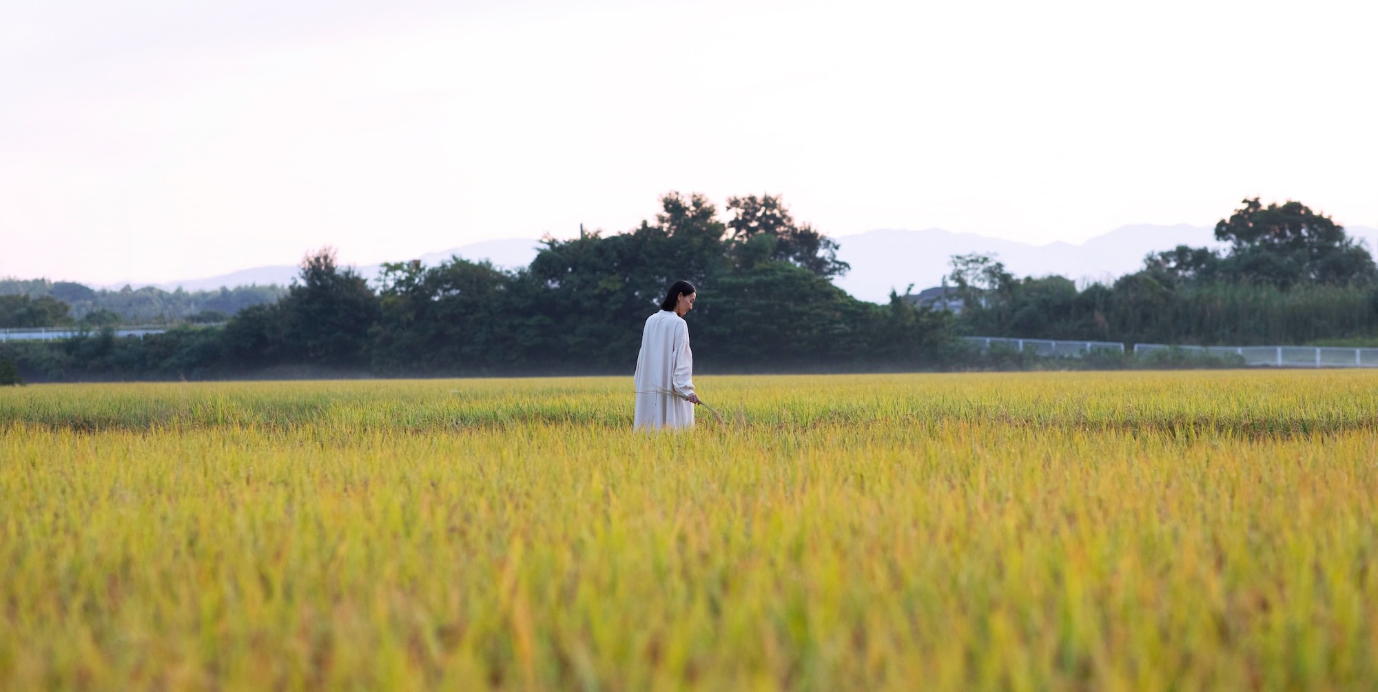 田んぼに佇んでいる女性
